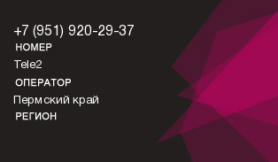 9519202937